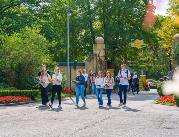 Gruppen (1)