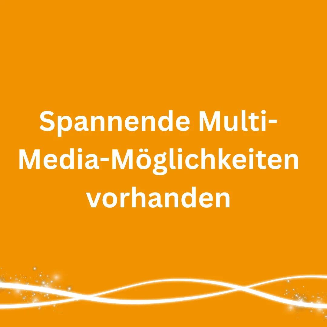 Partner Und Sponsoren (4)