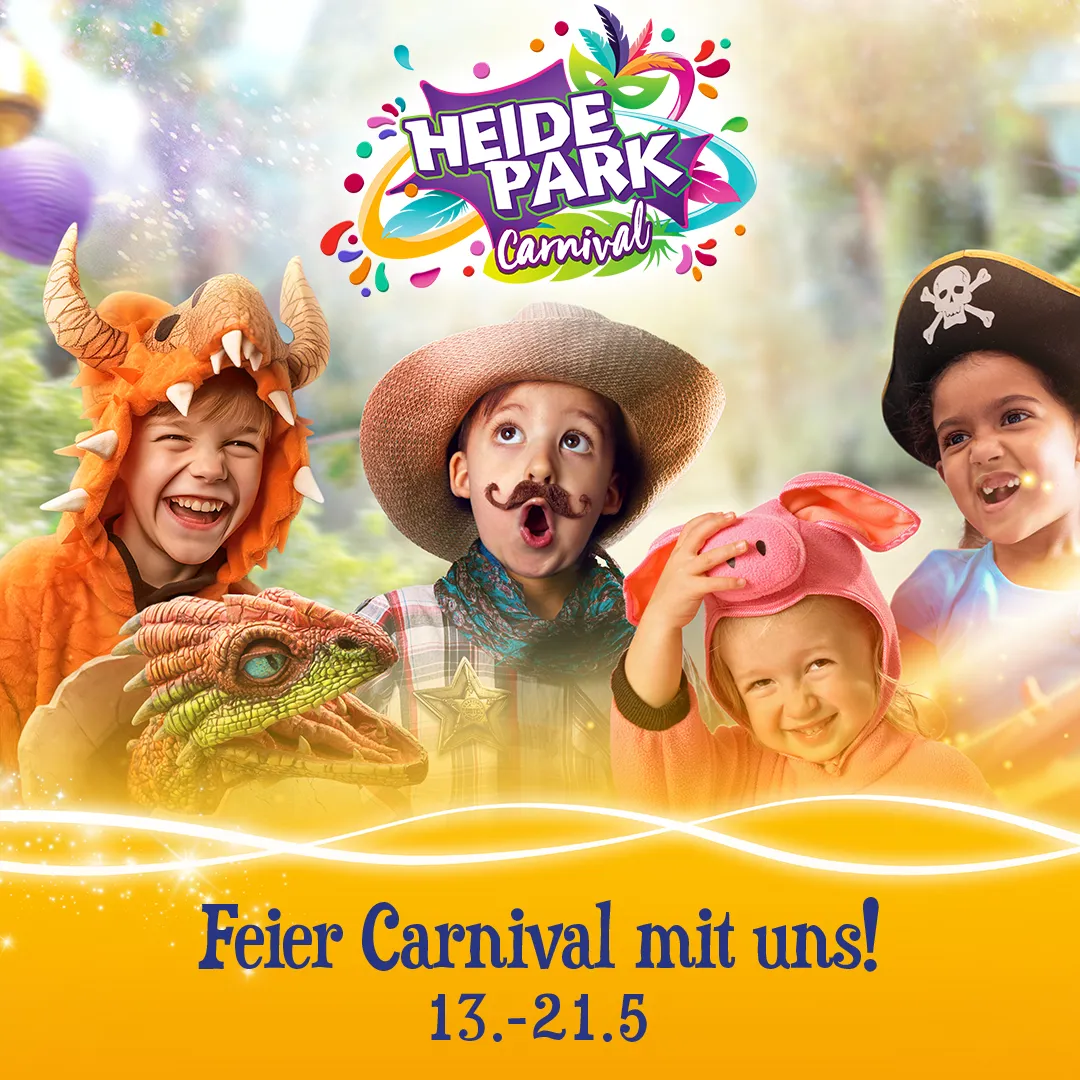 Carnival Social 1080X1080 E