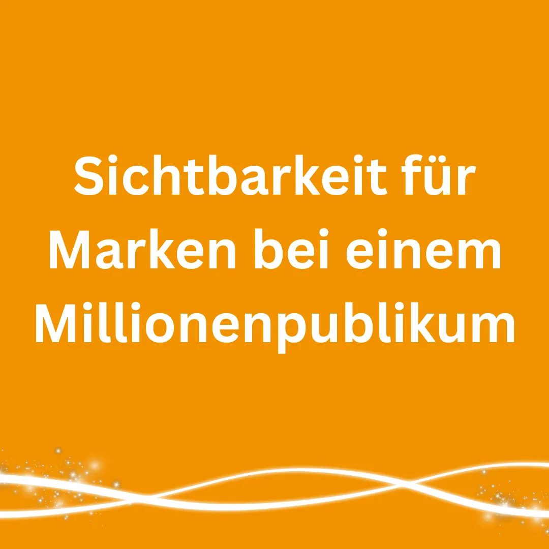 Partner Und Sponsoren (1)